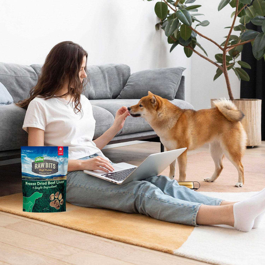 Freeze-Dried Beef Liver Dog Cat Treats Q889733