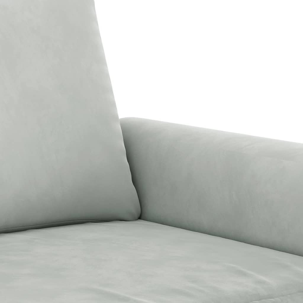 Light Gray Velvet 2 Piece Sofa Set S233474