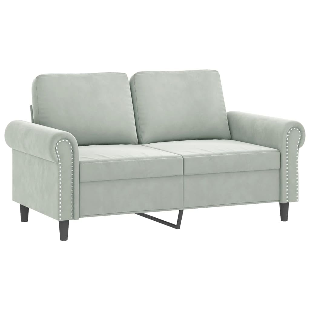 Light Gray Velvet 2 Piece Sofa Set S233474