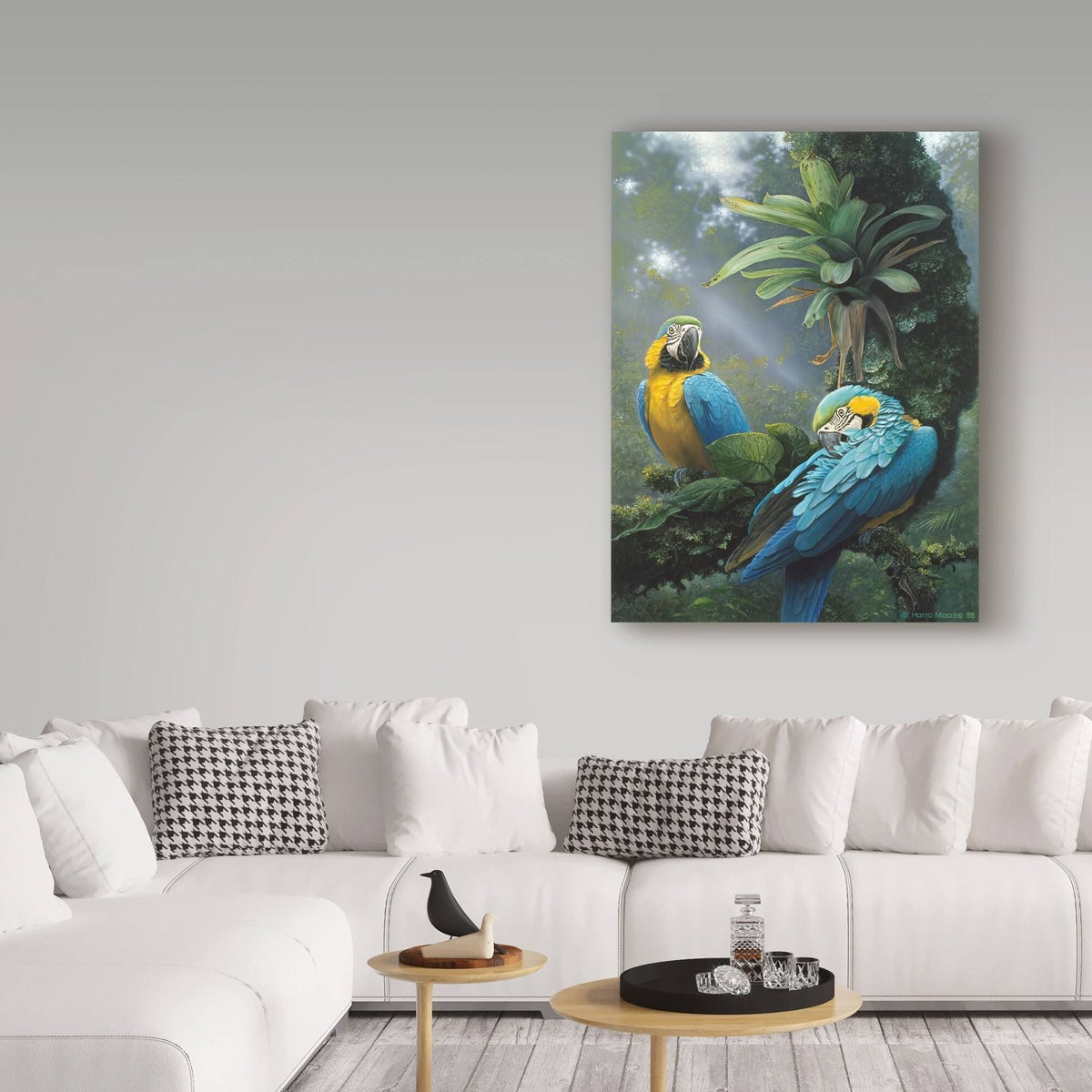 Blue and Yellow Macaw V666281