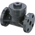 PVC Inline Swing Check Valve J467081