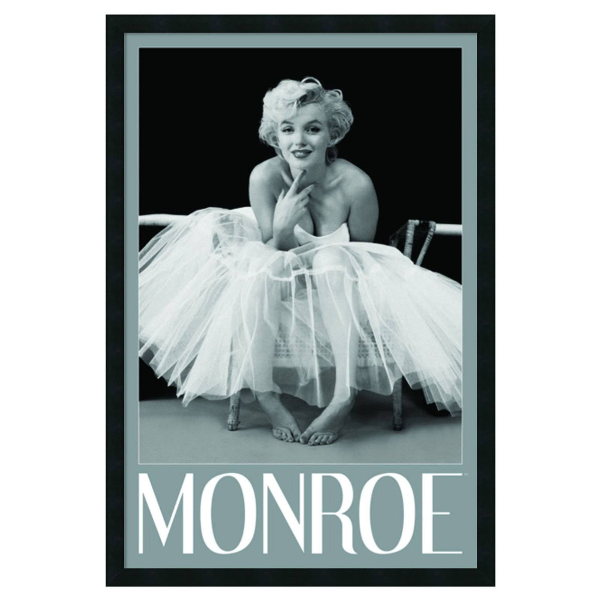 Framed Print Q474175