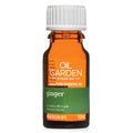 Ginger Essential Oil 12ml P9270