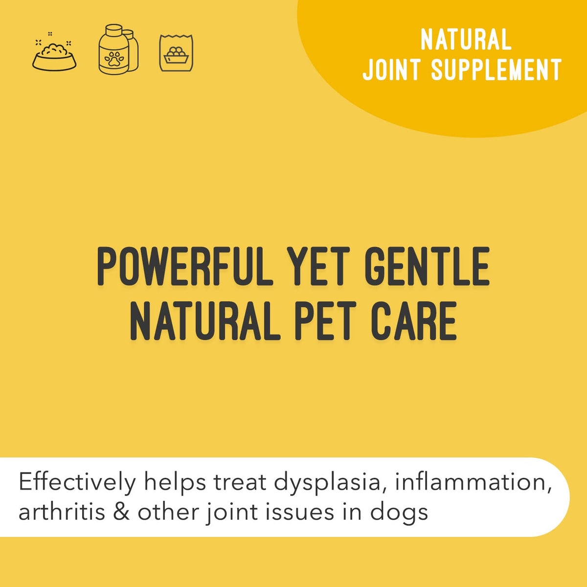 Hip & Joint Support Liquid for Dogs 32 fl oz F571