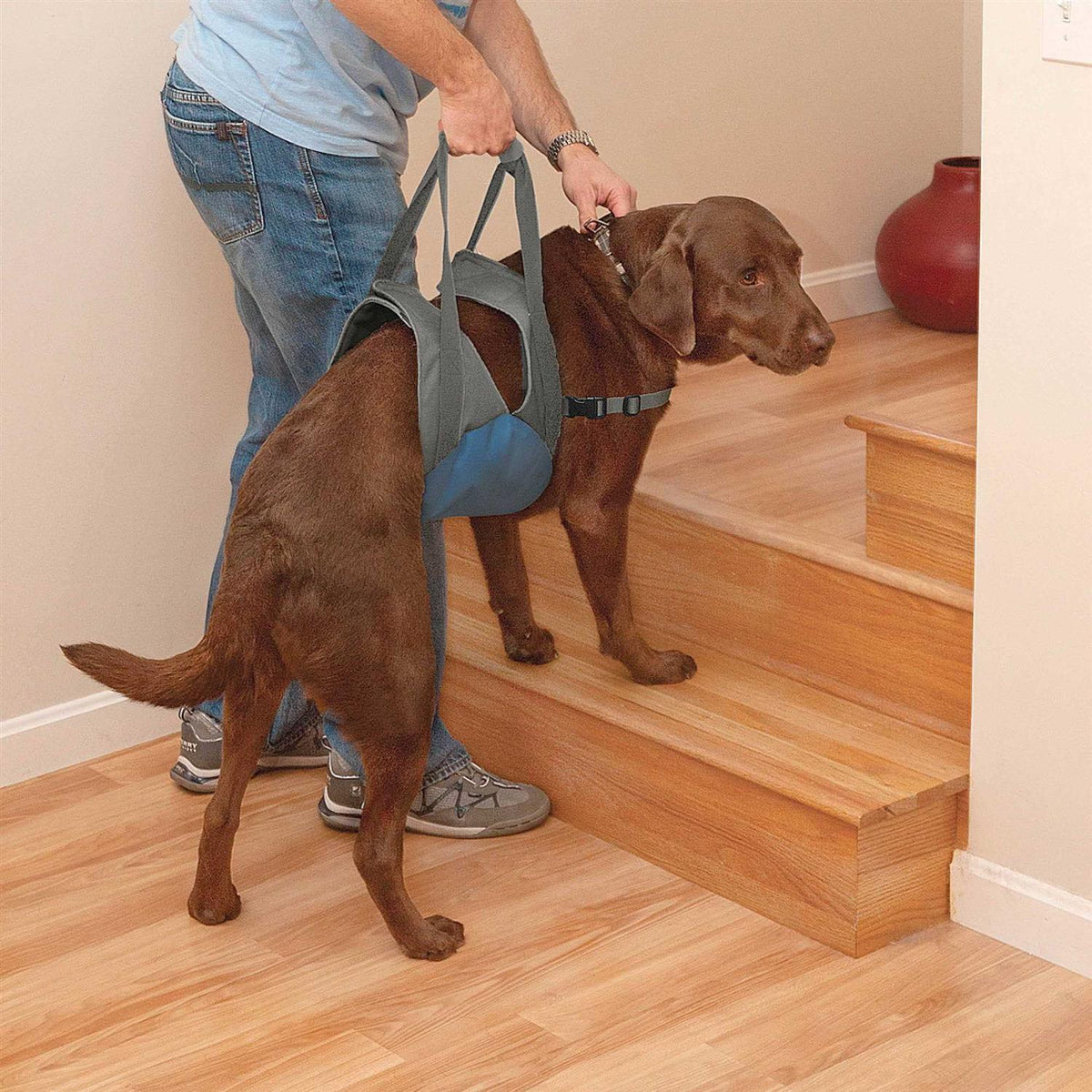 Dog Lifter D2977