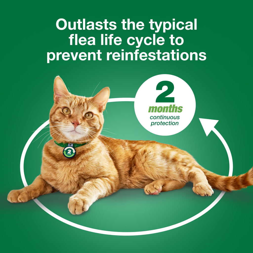 Large Cat Topical Flea Treatment & Prevention 1ct T13465