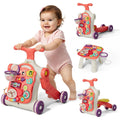 5 in 1 Baby Walker H557028