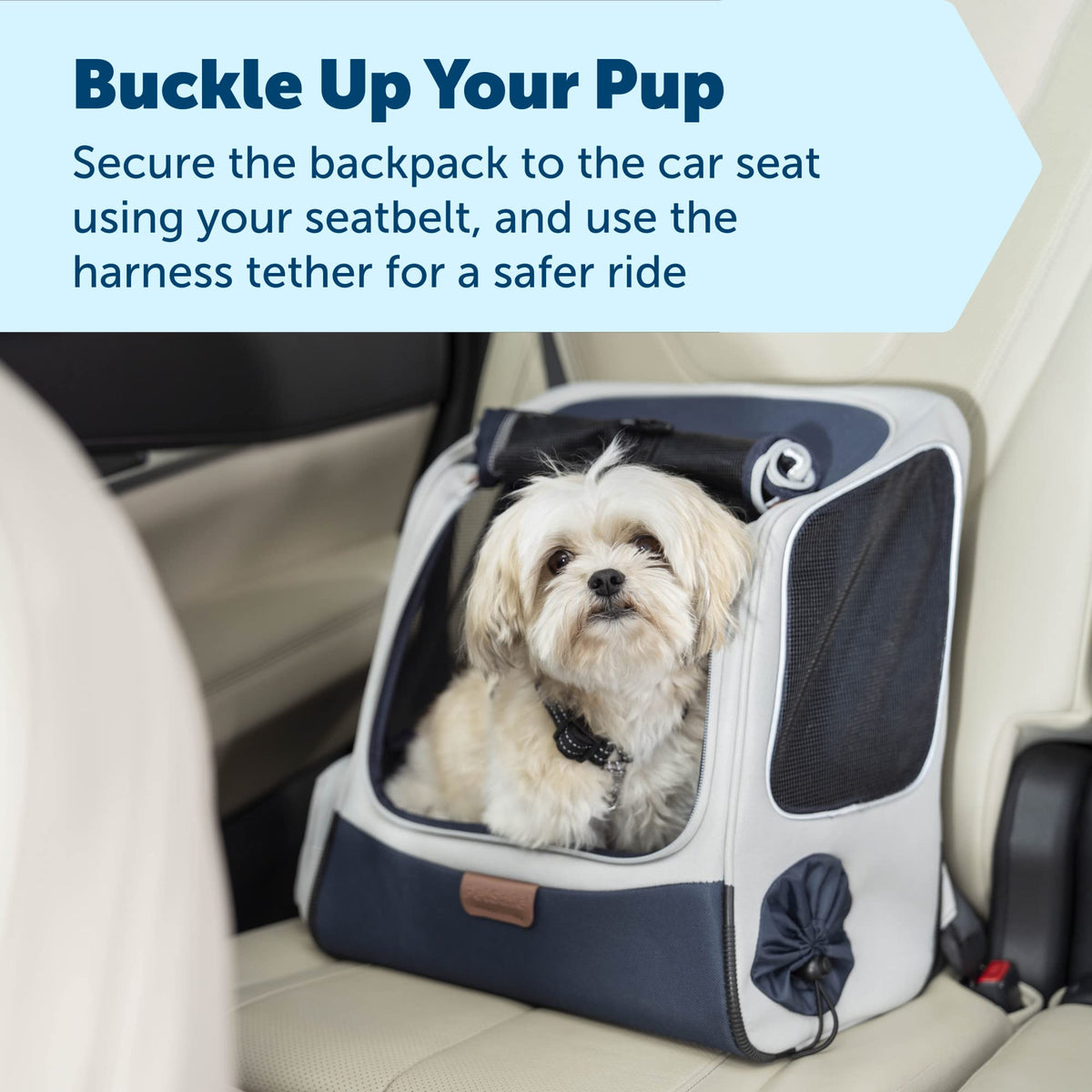Pet Carrier U766678