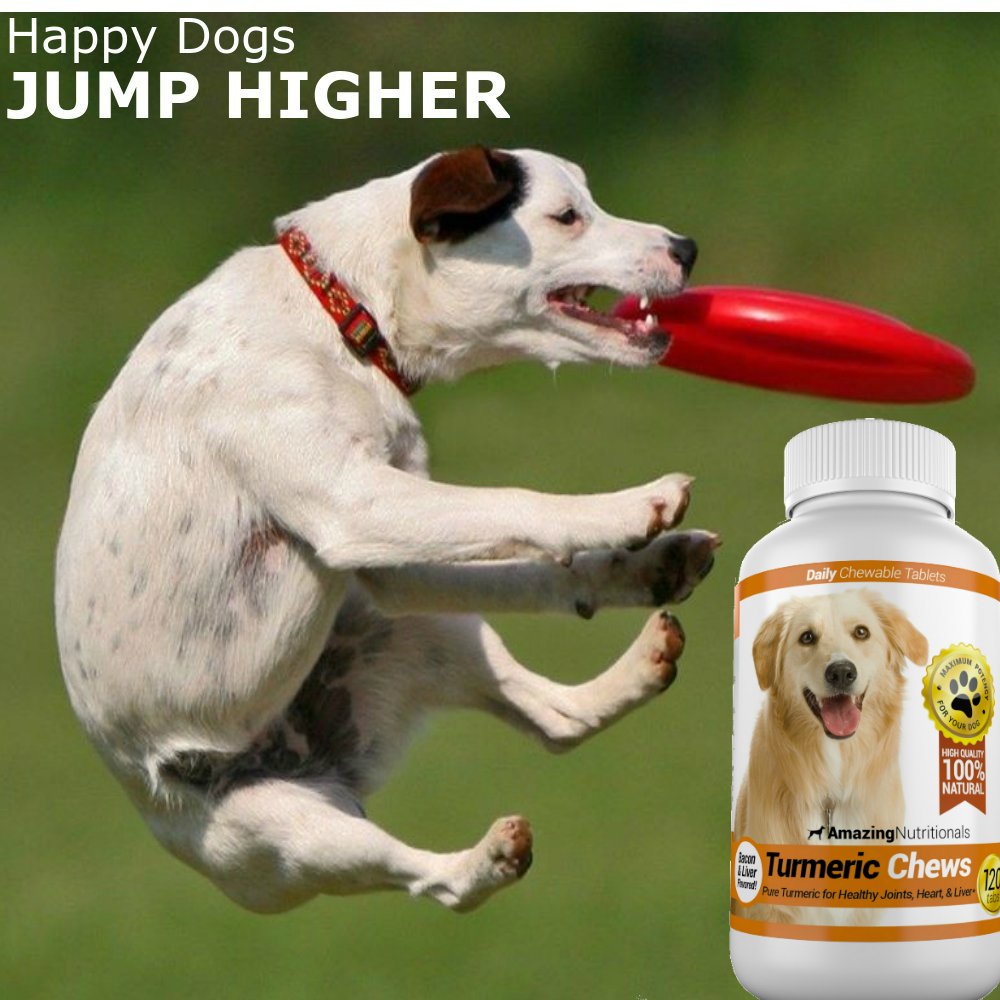 Joint Support Skin and Coat Health Bundle Turmeric Omega 3 C71469