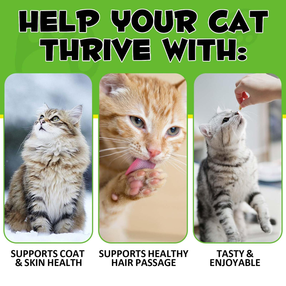Chicken Flavor Hairball Support Chews P6963