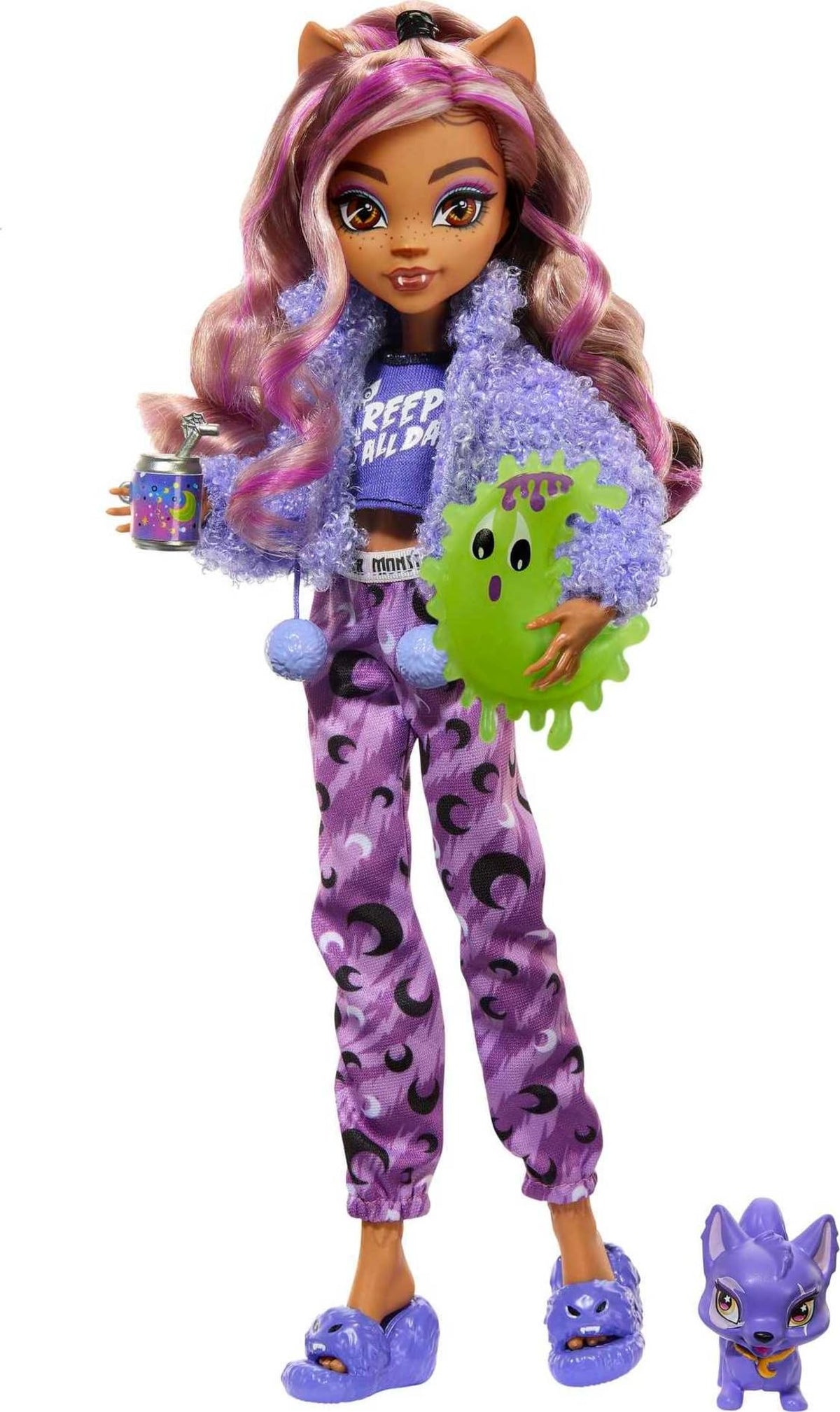 Doll with Pet Dog, Sleepover Clothes & Accessories C9339