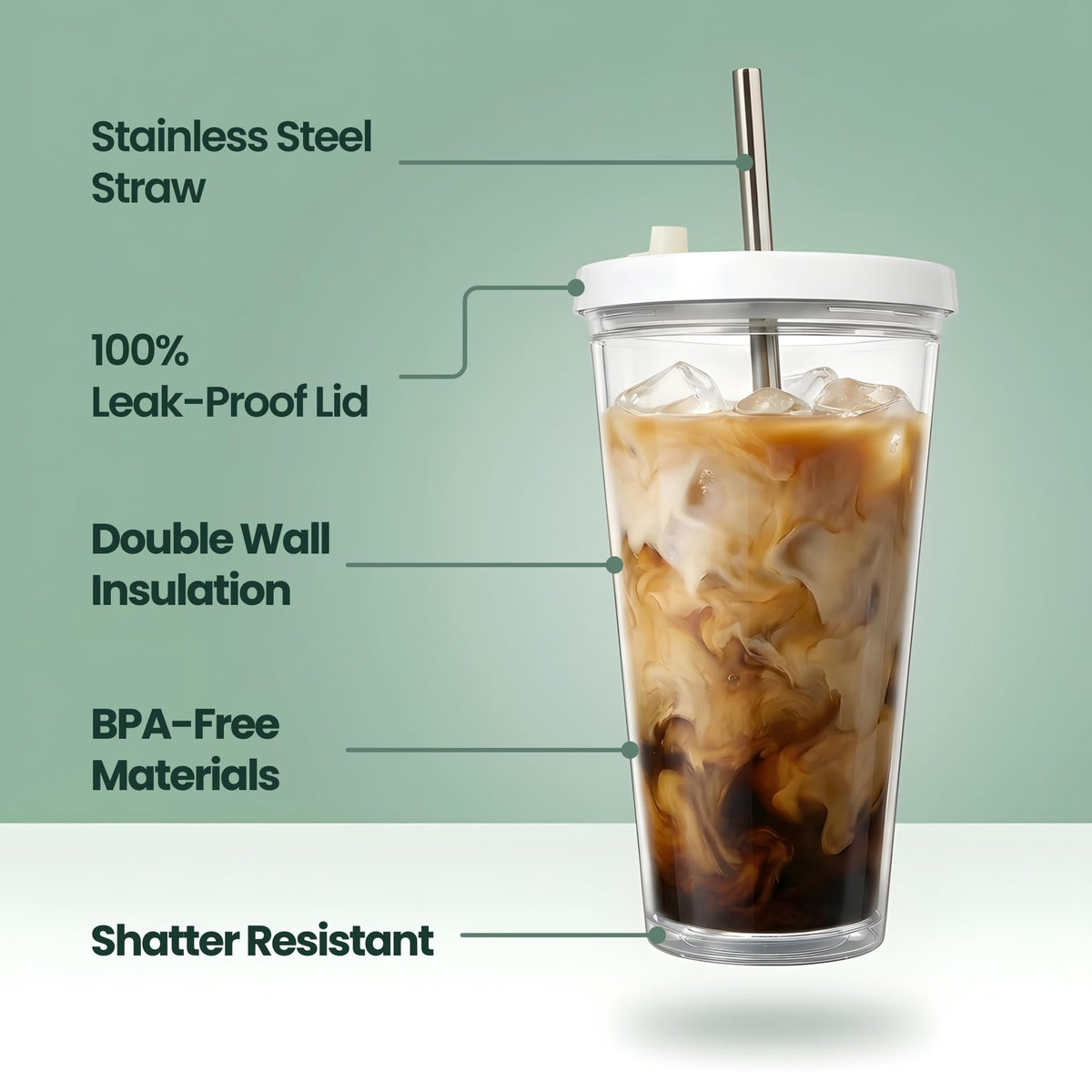 24 oz BPA-Free Double-Wall Insulated Plastic Tumbler with Lid and Straw A5472