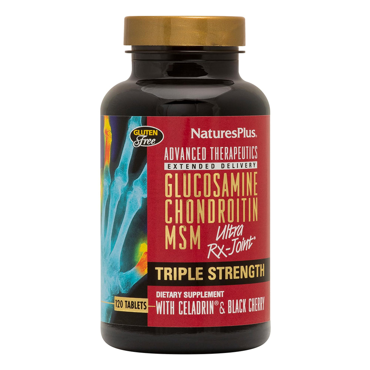 120 Tablets Glucosamine Chondroitin MSM Joint Support F63603
