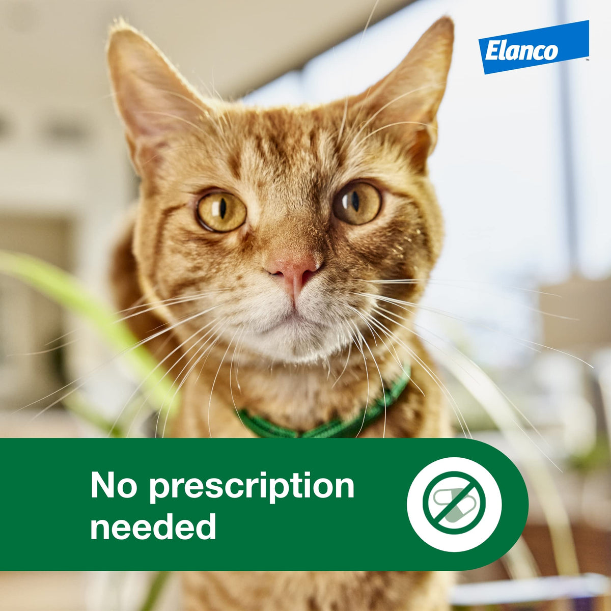 Large Cat Topical Flea Treatment & Prevention 1ct T13465