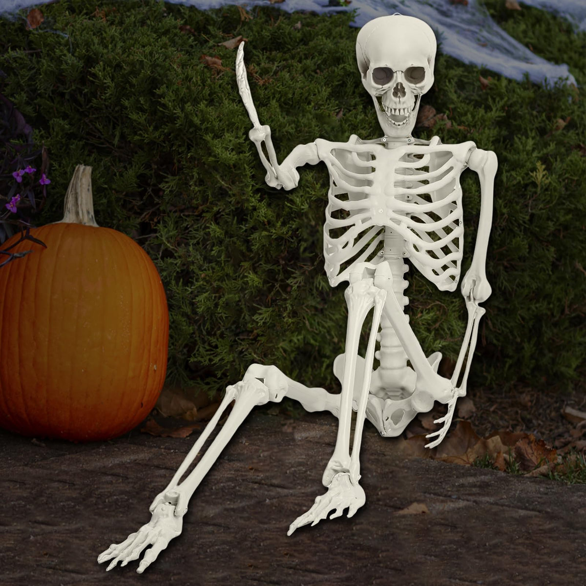 5.5ft Poseable Plastic Skeleton Z902803