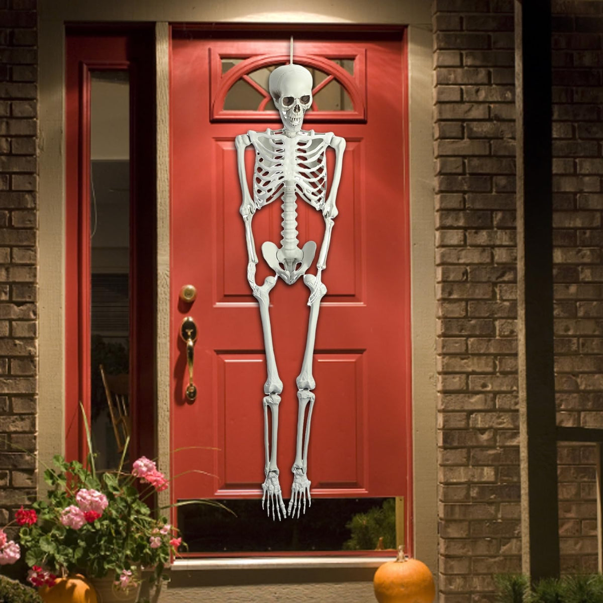 5.5ft Poseable Plastic Skeleton Z902803