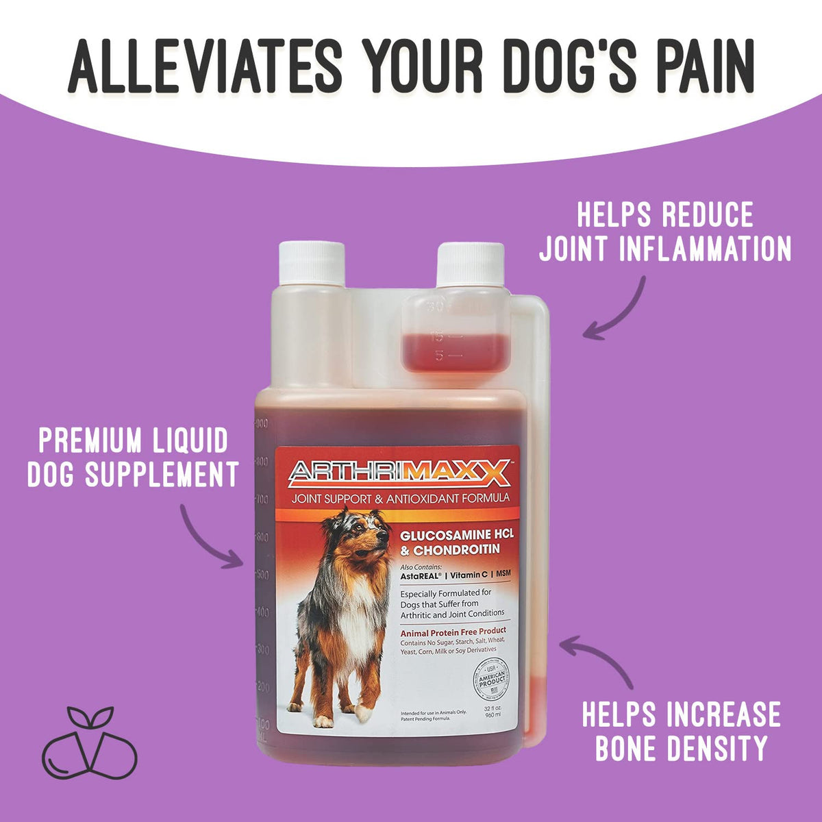 Hip & Joint Support Liquid for Dogs 32 fl oz F571