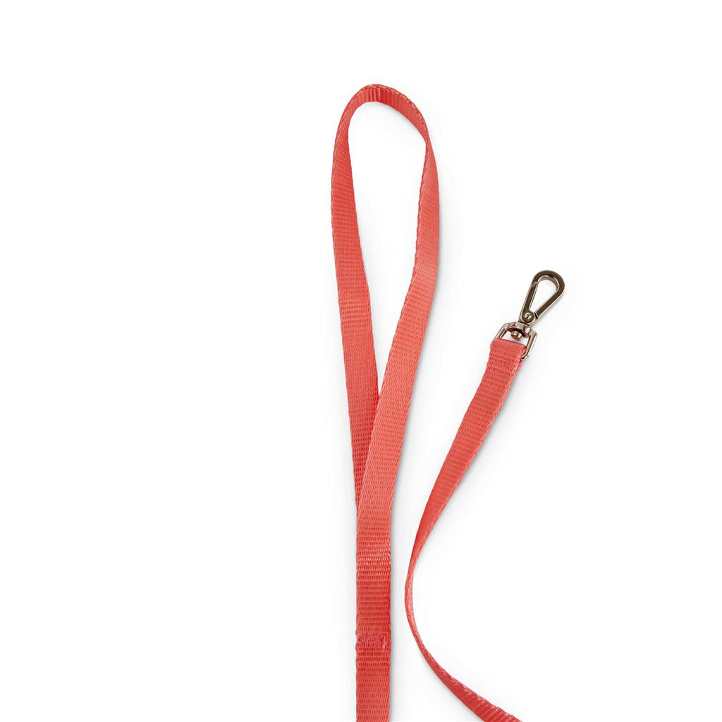 Cat Harness Set H32330