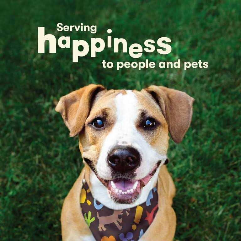 Chicken Hide Twists Dog Treats Q418