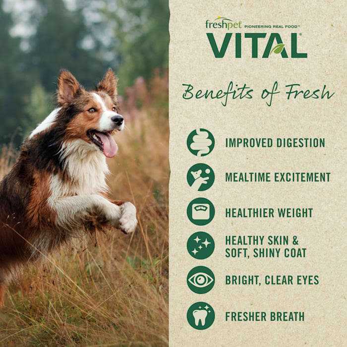 Grain Free Salmon & Ocean Whitefish Dog Food V742