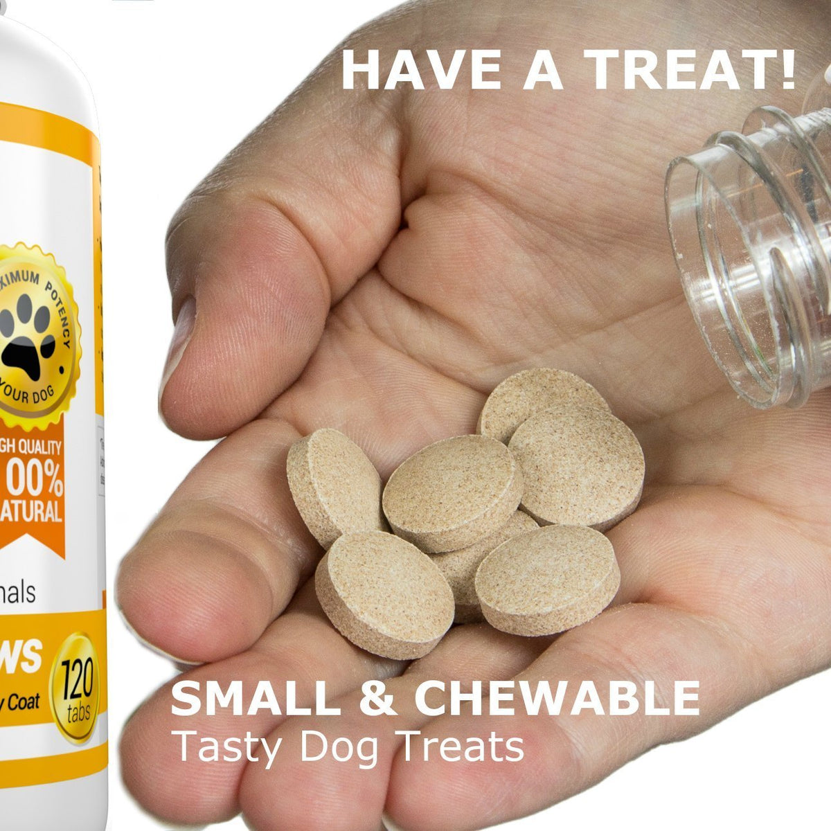Joint Support Skin and Coat Health Bundle Turmeric Omega 3 C71469