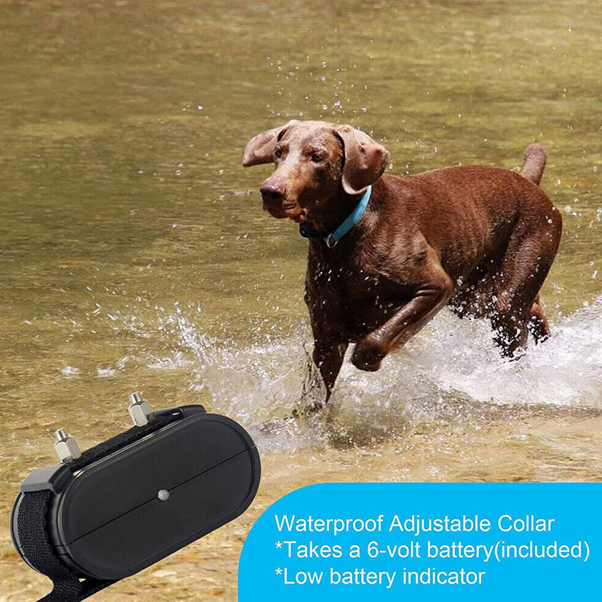 Electric In-ground Dog Fence with Waterproof Collar D158102
