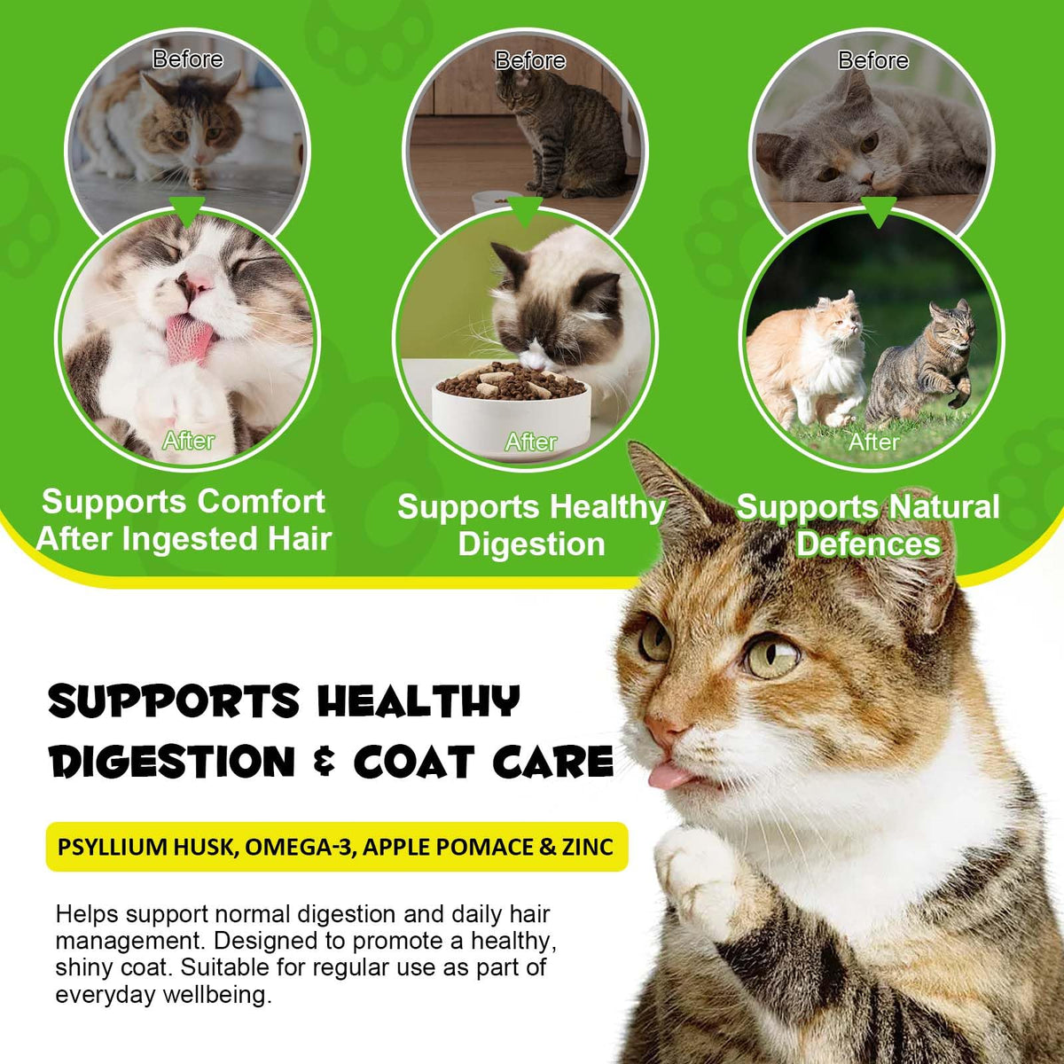 Chicken Flavor Hairball Support Chews P6963