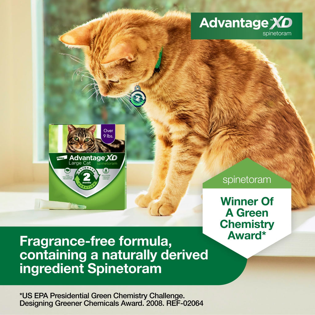 Large Cat Topical Flea Treatment & Prevention 1ct T13465