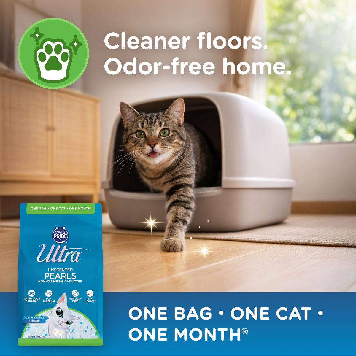 Cat Litter - 99.9% Dust Free, Low Tracking, Fragrance Free - 5 Lbs T799