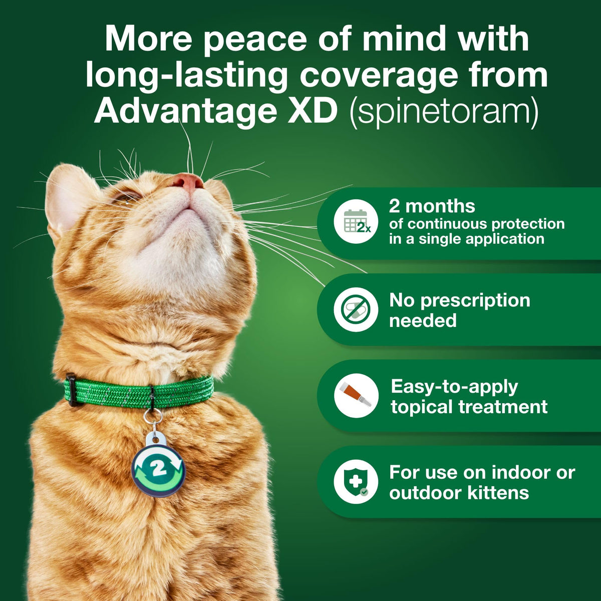Large Cat Topical Flea Treatment & Prevention 1ct T13465