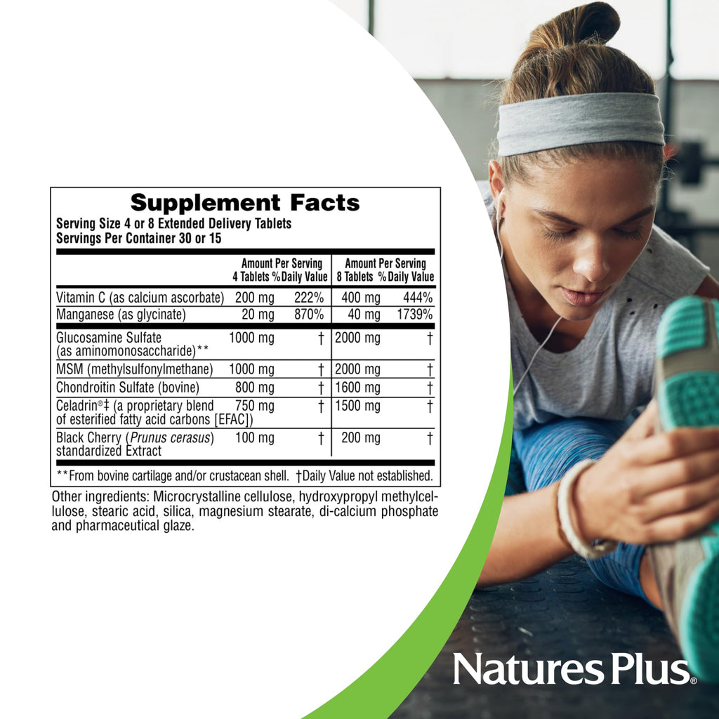 120 Tablets Glucosamine Chondroitin MSM Joint Support F63603