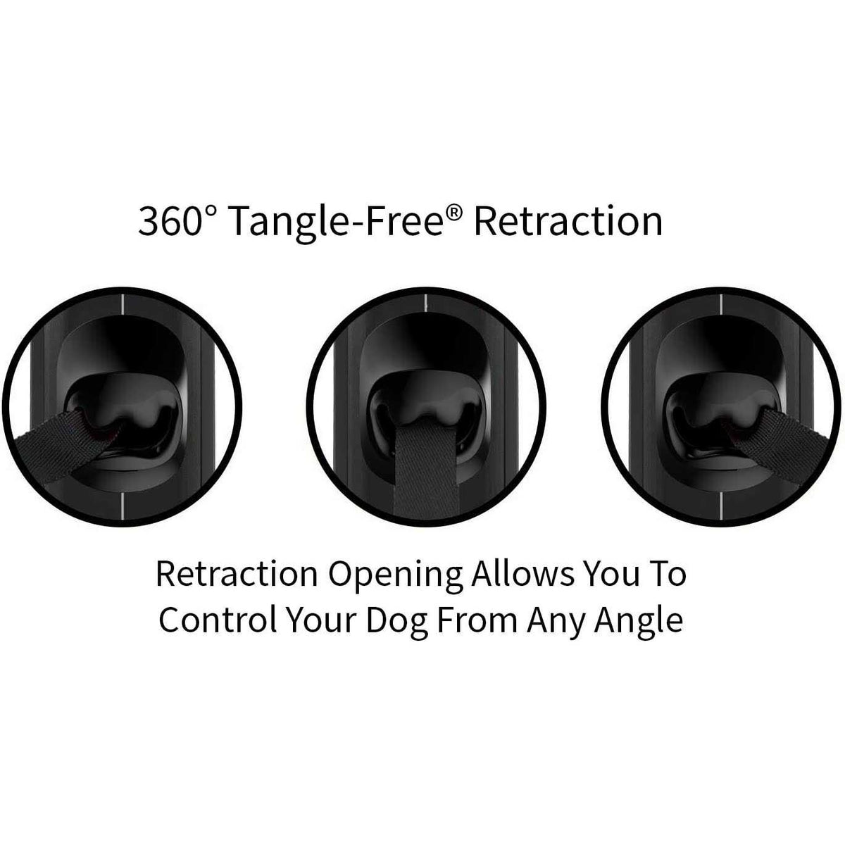 Retractable Dog Leash E580255