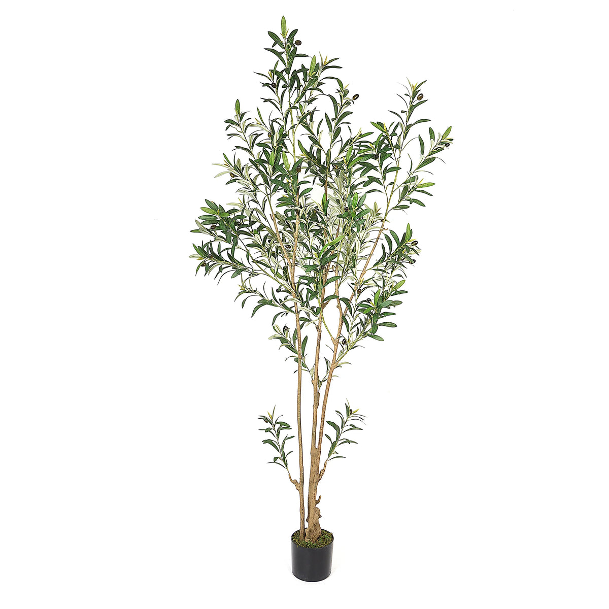 7ft Artificial Olive Tree in Pot F59782