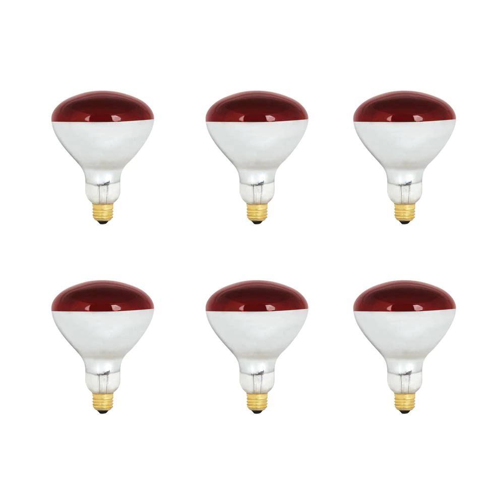 Red BR40 Dimmable Incandescent Infrared Heat Lamp Light Bulb (6-Pack) F278167