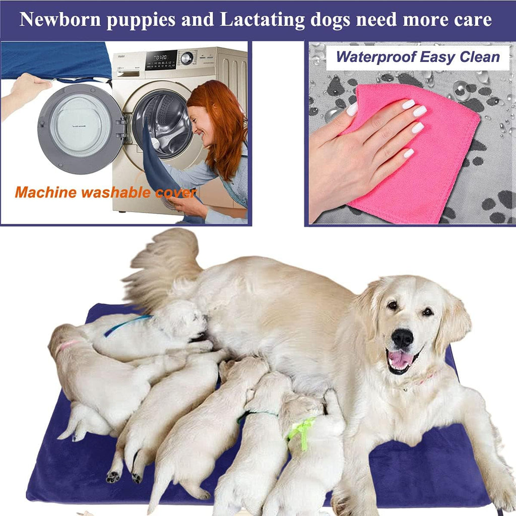 Large Washable Waterproof Pet Heating Pad Pack of 2 P249