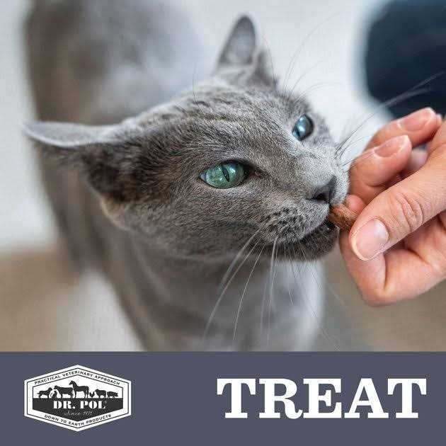 Freeze Dried Cat Treat and Meal Topper Z893779