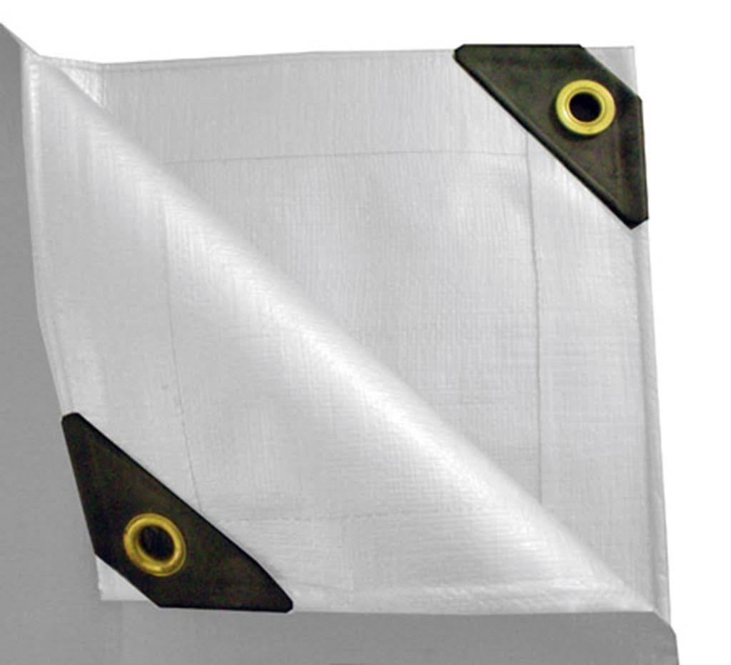 20 x 30 Heavy Duty Canopy Tarp White U39315