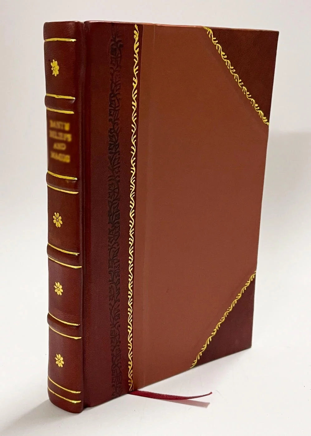 Instructions Sur L'Ordre Surnaturel Et Divin De Deification De L'Homme Par La Grace, Volume 2 M11351