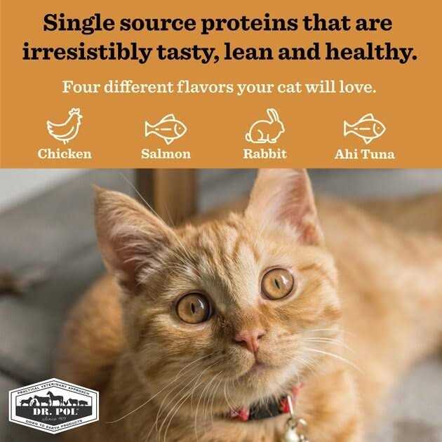 Freeze Dried Cat Treat and Meal Topper Z893779