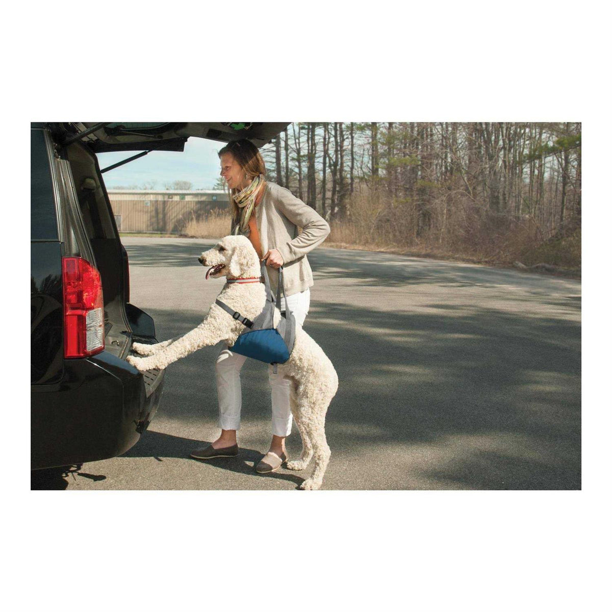 Dog Lifter D2977