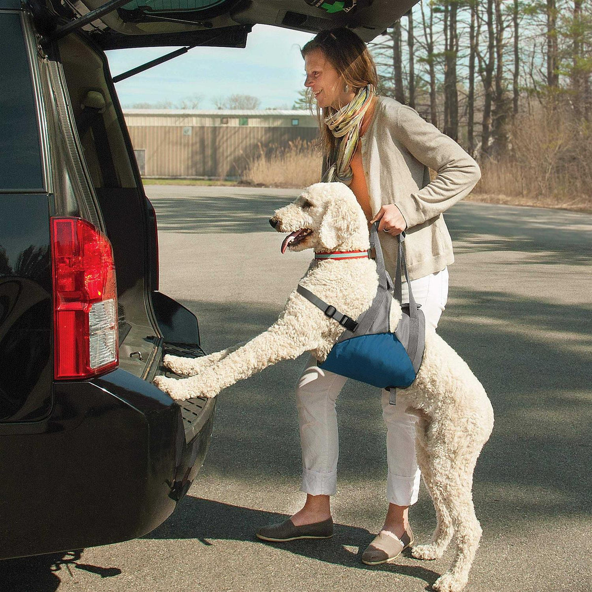 Dog Lifter D2977