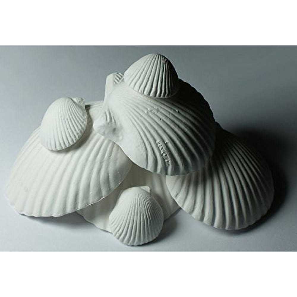 Shell E67008