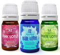 Blue Pink White Lotus Set of 3 Bottles 5ml Essential Oils F86237
