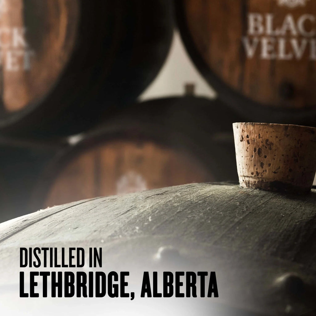 Black Velvet Canadian Whisky 1.75 L Y9881