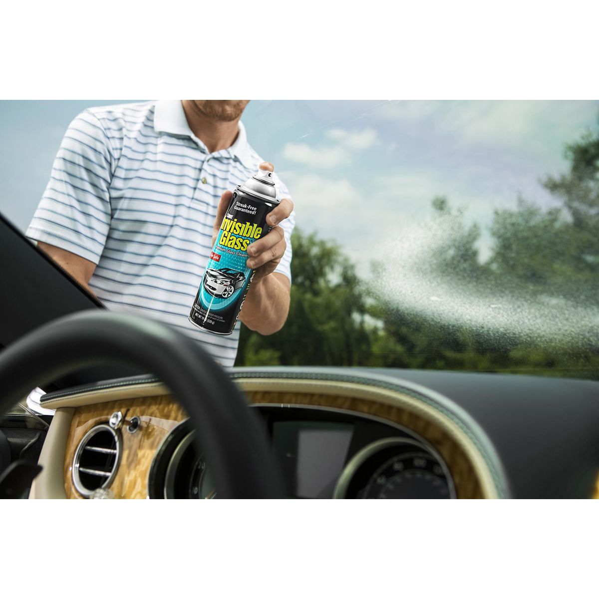 19 oz. Glass Cleaner Z56765