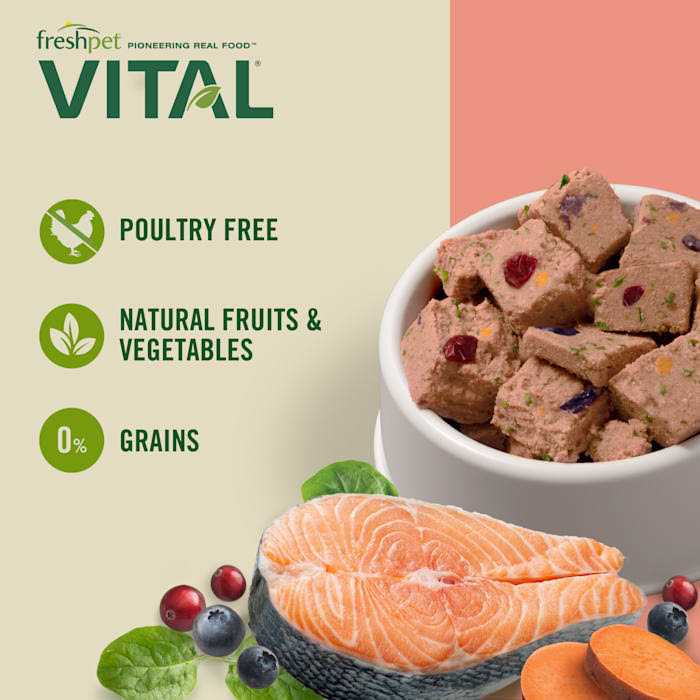Grain Free Salmon & Ocean Whitefish Dog Food V742