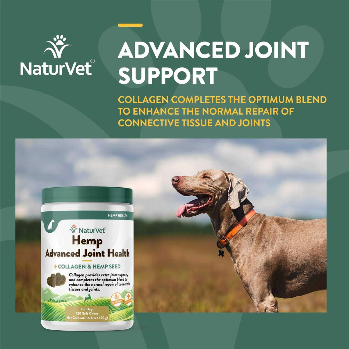 Hemp Advanced Joint Health Pet Supplies B25040