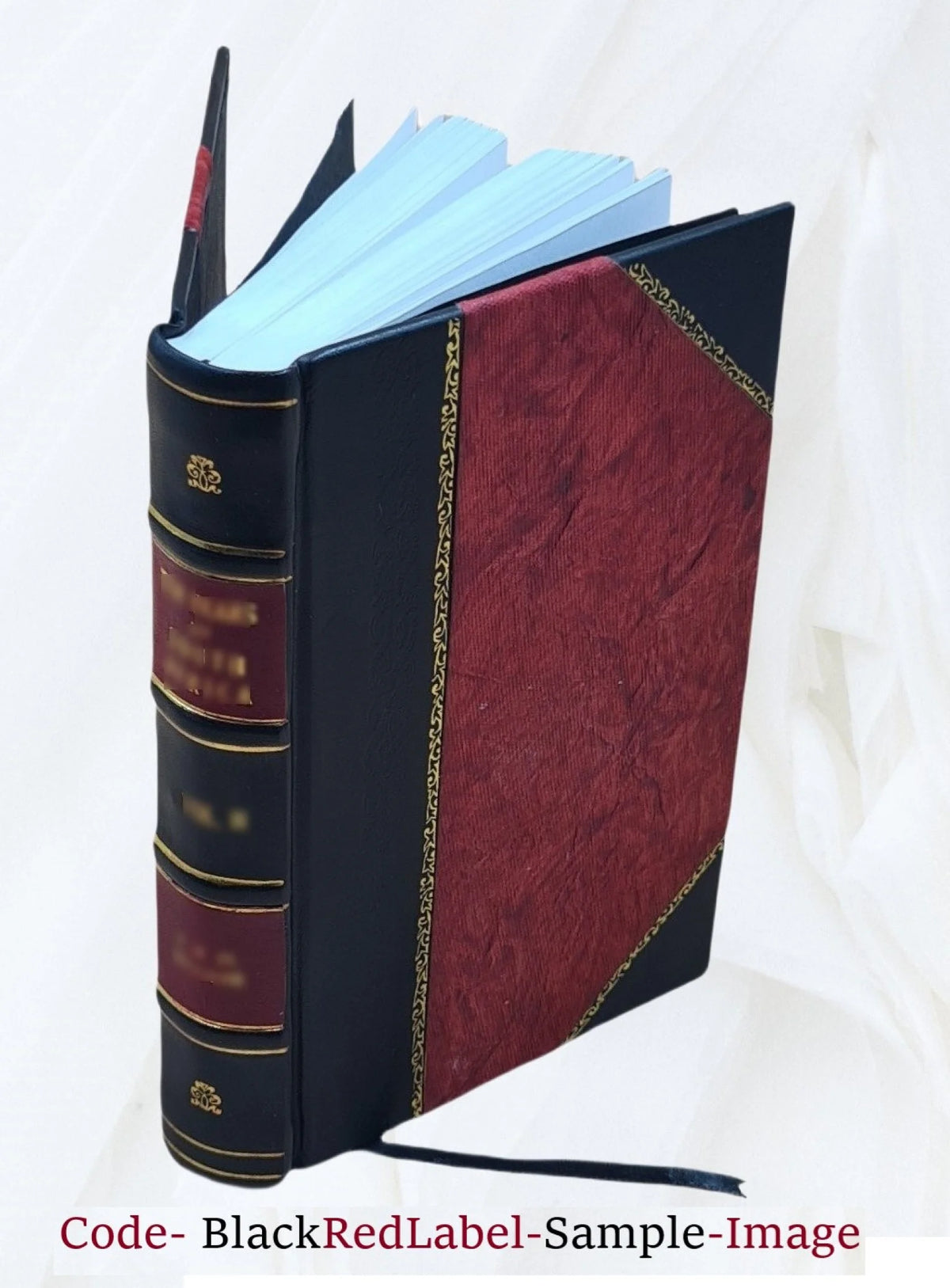 Leather Bound Book Q511687
